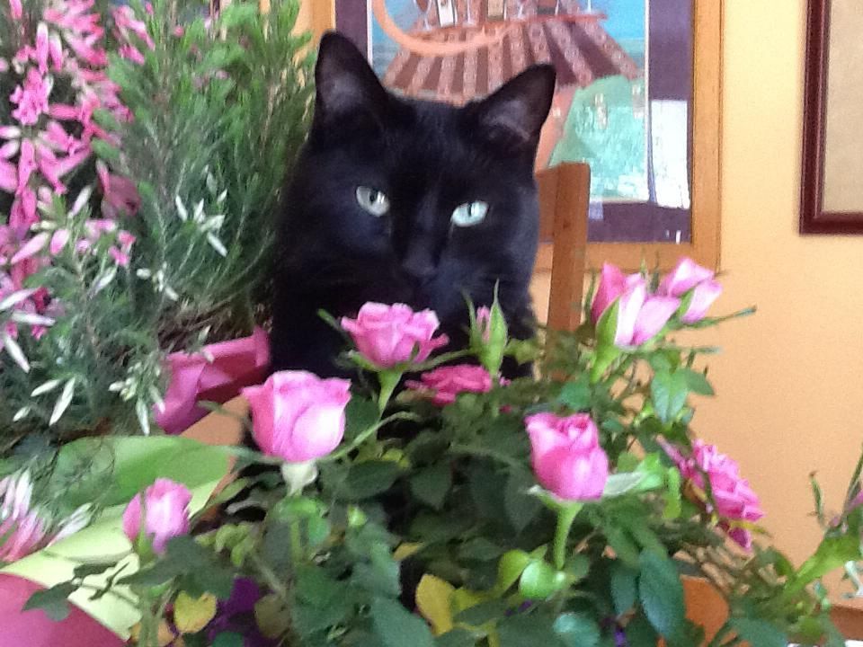 Luna